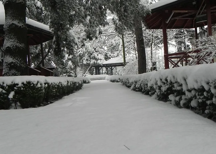 Hotel Baneasa Parc