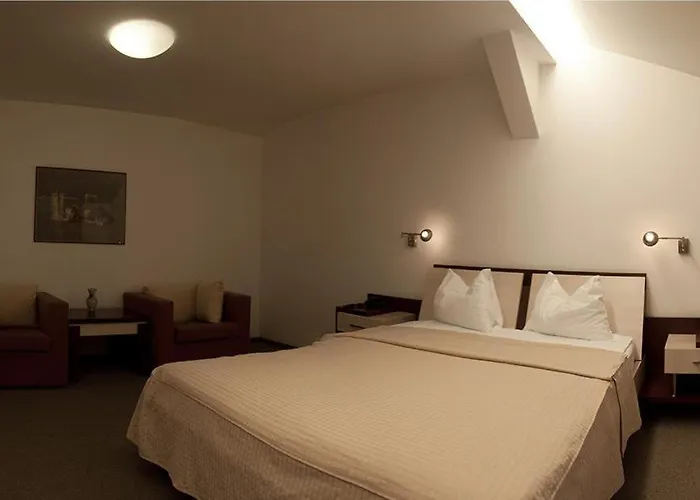 Hotel Baneasa Parc